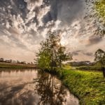 tree-1716886_960_720
