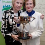 Galway City Tidy Towns and Garden Competition