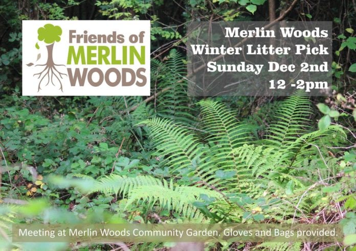 Galway News - What's On - Free yoga class at Friends of Merlin Woods Big Litter Pick