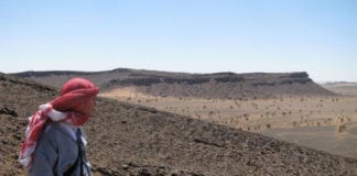 NUI Galway research team solves Darwin’s Dilema, when did animal life first appear? Galway Daily news NUI Galway research team solves Darwin's Dilema animal life precedes fossil records by hundreds of millions of years