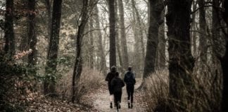 Support Pieta House with the Stephen’s Day Wren Run Galway Daily news Support Pieta House with St. Stephen's Day Wren Run