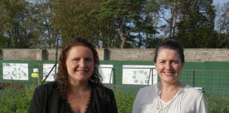 Gardeners exposed to low levels of potentially carcinogenic pesticides Galway Daily news Study finds horticultural workers exposed to low levels of potentially cancer causing pesticides