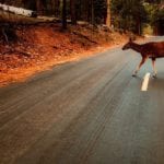 landscape-2550393_960_720