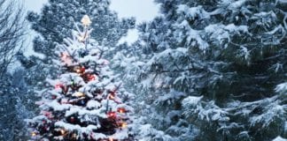 Snow forecast but those dreaming of a White Christmas will be disappointed white christmas forecast galway