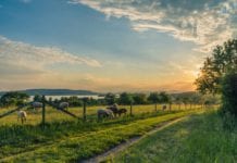 Call for Minister to provide clear timeline on ACRES payments Galway Daily news Farmers getting €13.4 million basic payment scheme refunds