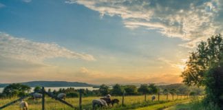 Government accused of abandoning farmers on Fair Deal Scheme contributions Galway Daily news Farmers getting €13.4 million basic payment scheme refunds