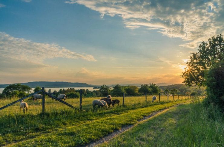 Galway Daily news Farmers getting €13.4 million basic payment scheme refunds
