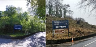 Wildlife group clashes with government over tree felling in Connemara National Park Galway Daily news wildlife group clashed with government over destruction of land in Connemara National Park