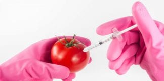 Machine shop to be converted to high tech agricultural lab Galway Daily news machine shop to be converted in agricultural lab