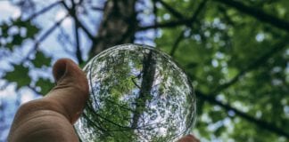 NUI Galway and GMIT co-hosting ecology conference Galway Daily news NUI Galway and GMIT to co-host ecology conference