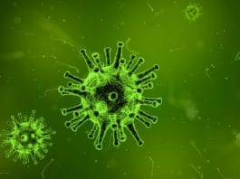 Galway daily news Public health alert for possible Measles exposure at UHG emergency department