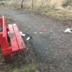 Park littering garbage