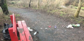 Protest at city hall will call for park wardens in Galway Galway Daily news Community clean up at Terryland Forest park this Saturday