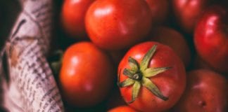 Spicy tomatoes may be on the table with gene editing technology Galway Daily news Researchers from NUI Galway propse using gene editing to create spicy tomatoes.