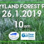 Terryland Forest park clean up