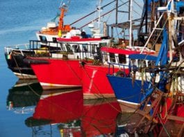 Galway Daily news Ros a Mhíl fishery centre to receive €3.4 million funding this year