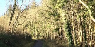 Over €850,000 granted for local access roads maintenance in Galway Galway daily news Galway receives over €850,000 for local access roads maintenance