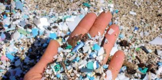 90% of coastal areas contaminated by microplastics Galway daily news 90% of coastal areas contaminated by microplastics