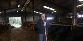 Galway farmers invited to event on the future of the beef industry Galway councillor invites farmers to event on the state of the beef industry