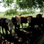 5707267360_a64aa4606b_z