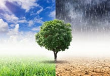 Letter | “Attitudes towards flood defences are concerning” Galway Daily news Community Climate Action public information evenings in Galway City