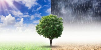 Young people invited to participate in project to relieve eco-anxieties Galway Daily news Community Climate Action public information evenings in Galway City