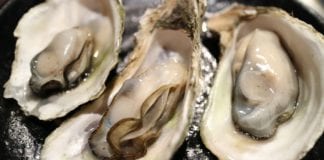 Marine Institute presents latest findings on disease control in oyster farming Galway daily news The science behind our Seafood