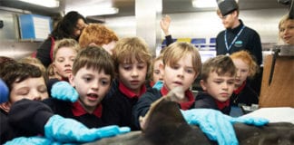 Barna students get up close and personal with sharks Galway Daily news Barna students get up close and personal with sharks aboard the Celtic Explorer