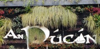 Winter is coming to An Pucán for the final season of Game of Thrones Galway Daily life & style Games of Throne at An Pucan