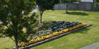 Clean Up Weekend to get Galway city in shape for the Best Kept Towns comepetition Galway Daily news Entries open for Galway City Tidy Towns and Garden competition 2021