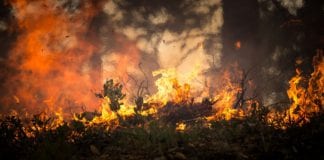 Status Orange forest fire warning issued ahead of Easter Weekend Galway Daily news Minister warns of risks from illegal land burning