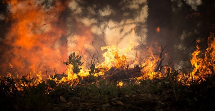 Galway Daily news Minister warns of risks from illegal land burning