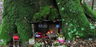 Take an otherworldly journey on an enchanted fairy walk in Merlin Woods Galway Daily news Journey into an otherworldly place in a Fairy walk through Merlin Woods
