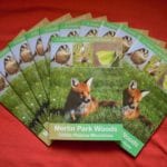 merlin woods guide 01