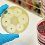 antibiotic resistance