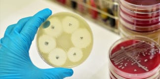 Poor sewage systems linked to antibiotic resistance Galway Daily news Study finds Public sanitation linked to antibiotic resistance