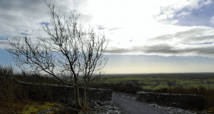 Two new walking trails open for nature lovers in North Galway Galway Daily life & style Two new walking trails open for nature lovers in north Galway