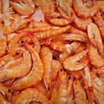 Prawns shrimp seafood
