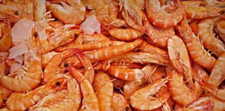 Three Galway seafood companies benefit from multi-million grant scheme Galway Daily news Three Galway seafood companies share in €2.5 million grant programme