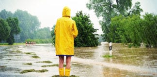 Galway hosts 37 countries for agriculture and climate change conference Galway Daily news Galway hosts 37 countries for agriculture and climate change conference