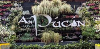 Premier League Roadshow coming to Galway Galway Daily An Pucan