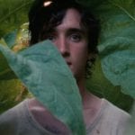 Happy as lazzaro