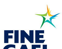 Ballinasloe native elected chair of Roscommon-Galway Young Fine Gael