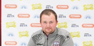 Max the border collie is Galway’s puppy of the year Galway Daily life & style puppy of the year