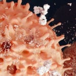 Myeloma blood cancer