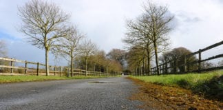 Lignum restaurant – local ingredients and ancient techniques craft a unique experience Galway Daily life & style Lignum restaurant using ancient cooking techniques for modern diners