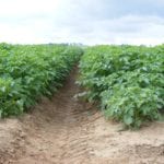 3695113302_4b82b5078c_z