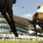 horse race