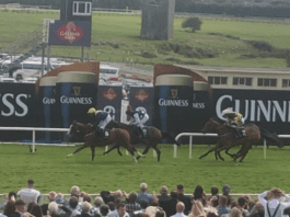 Galway daily sport Galway races Day four race five results