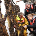 NO FEE BIM LAUNCH MSC CERTIFICATION JB11